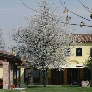 Particolari Del Brenta , Oriago Di Mira Italië